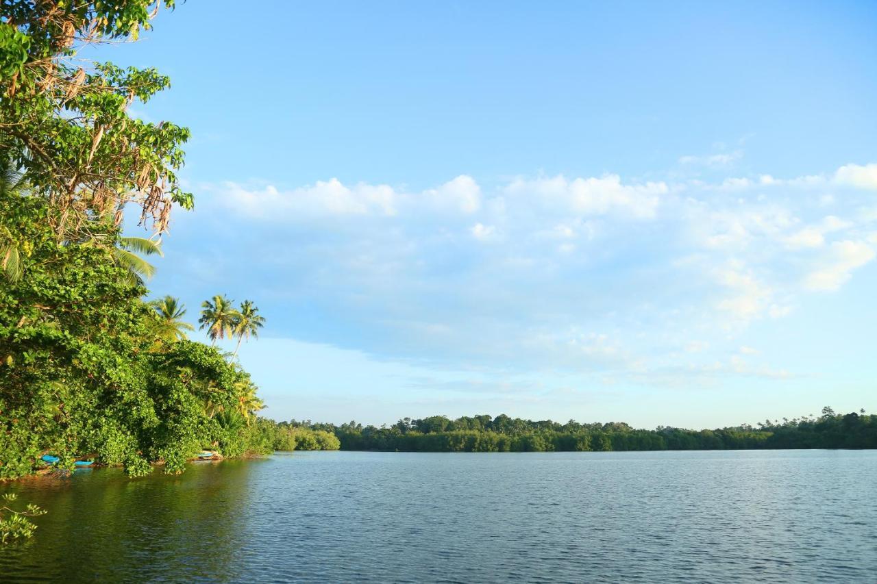 Global Lake Villa Hikkaduwa Exterior foto
