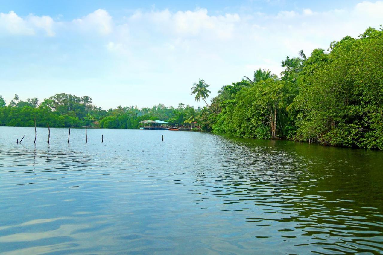 Global Lake Villa Hikkaduwa Exterior foto